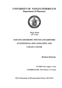Colorectal cancer phd thesis pdf